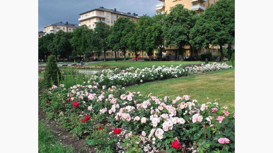 Tessinparken